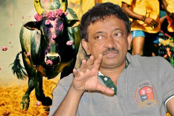 Ram Gopal Varma Tweets On Jallikattu