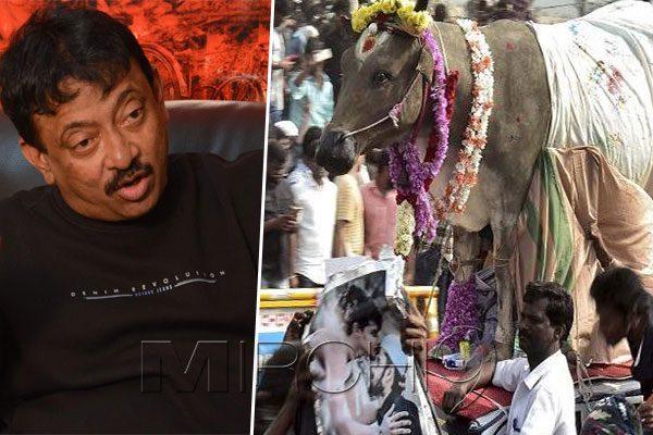 Shock to Jallikattu Supporters! Two Men Died at Pudukottai