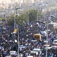Tamilians Protesting in Support Jallikattu Bull Taming Festival Images Photos