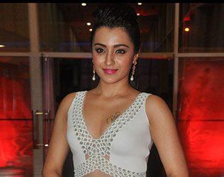 Trisha Krishnan targeted by Jallikattu supporters