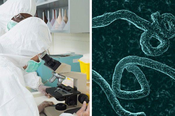 Virus Vs Bacteria Latest Scientists