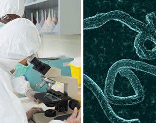 Virus Vs Bacteria Latest Scientists