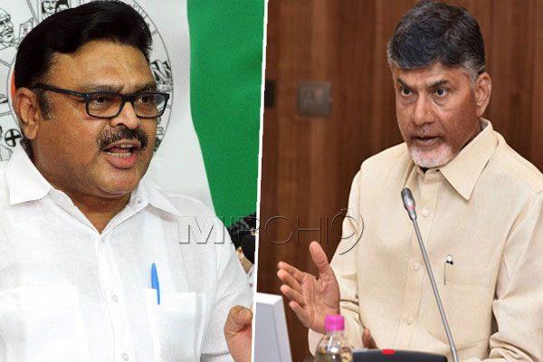 YSRCP Not to Spare International Orgs to Defame Chandrababu Naidu
