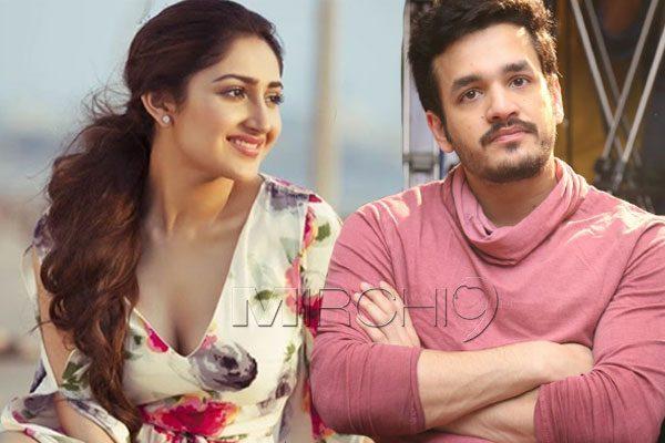 Akhil Akkineni - Sayesha Saigal: Just a Rumor