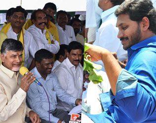 MLC Elections Festival in the Telugu States