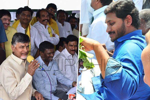 MLC Elections Festival in the Telugu States