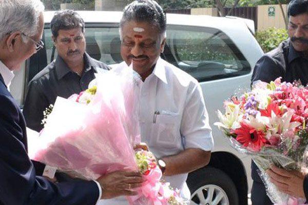 O Panneerselvam Winning Support Day by Day