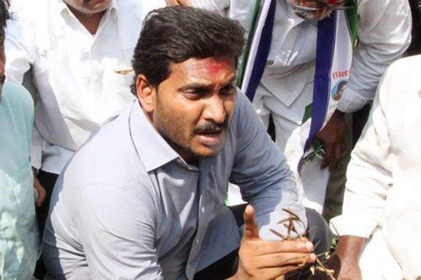 Suddenly, Jagan Is in a Hurry