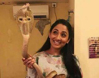 TV Actress Shruti Ultaf Mishandled The Most Poisonous Snake