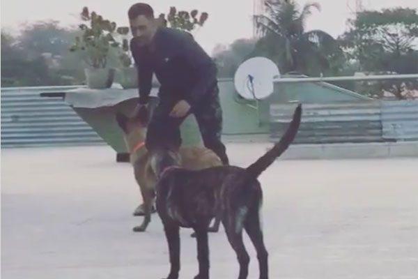 Watch What MS Dhoni Is Doing on His Break Time