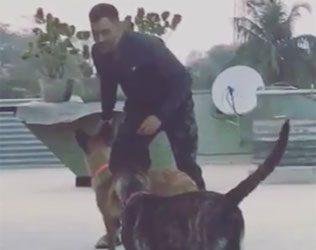 Watch What MS Dhoni Is Doing on His Break Time