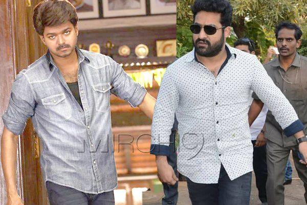After NTR, Another Big Hero Vijay Taking the Challenge!
