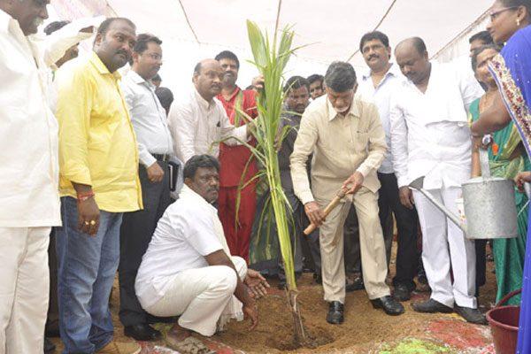 Andhra Pradesh Puts up Better Show Than Telangana in Forests Cover