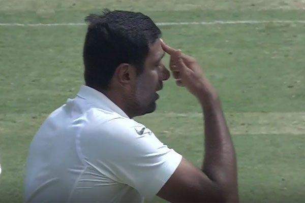 Australia Stark - Ashwin Reply - Test Series