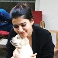 Samantha Calls Nagarjuna After Engagement