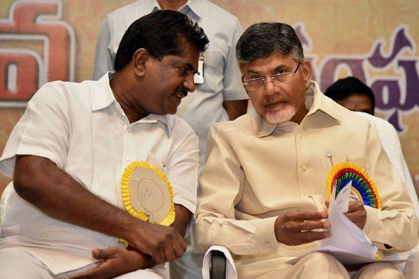 TDP Wins 6 MLCs Without Election, Eyes YSRCP Seats