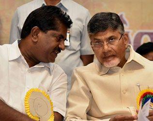 TDP Wins 6 MLCs Without Election, Eyes YSRCP Seats