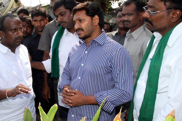 YS Jagan Drops Own Accomodation Plan in Amaravati