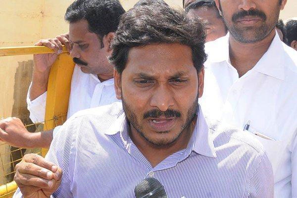 YSRCP Kadapa MLC Elections VS TDP