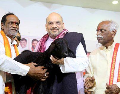Amit Shah Shocked, the Reality of BJP in Telangana!