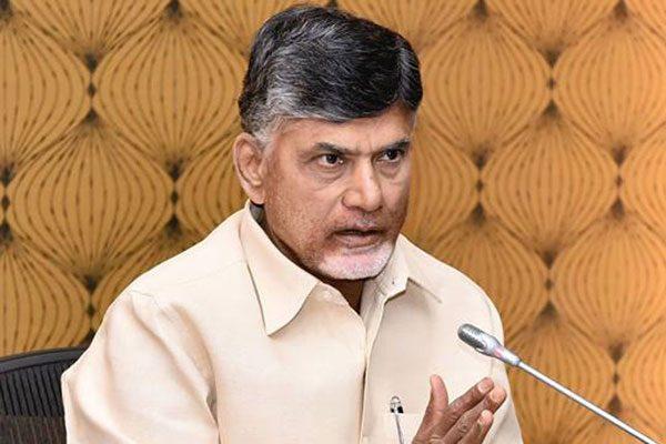 Chandrababu Naidu to Monitor Kia Motors Investment Himself