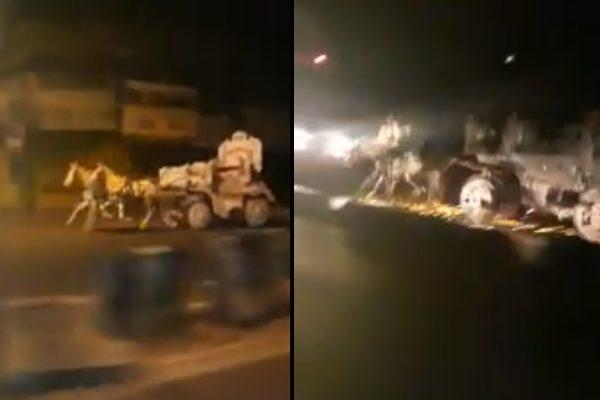 Horses Let Loose in Hyderabad Traffic Die