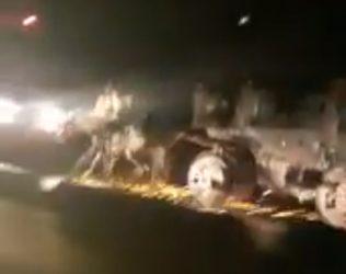 Horses Let Loose in Hyderabad Traffic Die