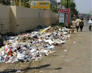 Hyderabad Mayor Trolled Garbage Photoshop Photo Twitter