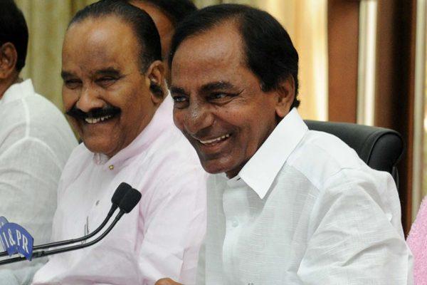 KCR Elevates 12000 TRS Followers with Plum Posts