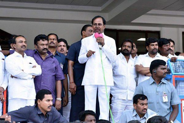 Luck Bringing Plants in TRS Office - Telangana Bhavan