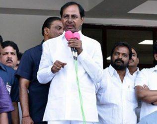Luck Bringing Plants in TRS Office - Telangana Bhavan