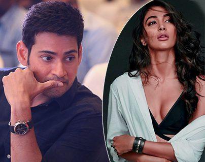 Allu Arjun's Glamour Pooja Hegde Doll for Mahesh Babu?