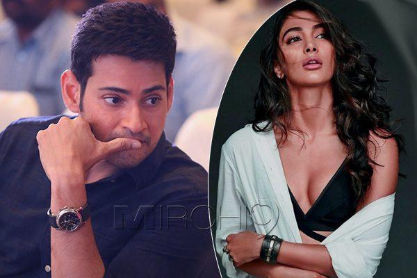 Allu Arjun's Glamour Pooja Hegde Doll for Mahesh Babu?