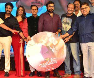 Chiranjeevi at Jayadev Movie Pre Release Function Photos