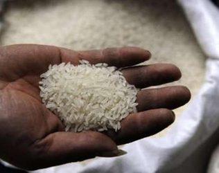Food Samples Collected from HYD Hotels - Plastic Rice