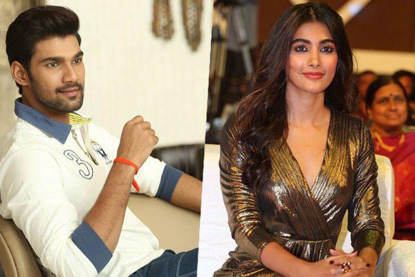Pooja Hegde Bellamkonda Srinivas Film