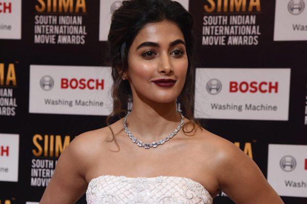 Look, What Pooja Hegde Crazy Fan Did!