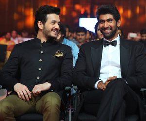 SIIMA Awards 2017 Photos