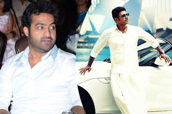 Where Does 'Raajakumara' Fit for Jr NTR