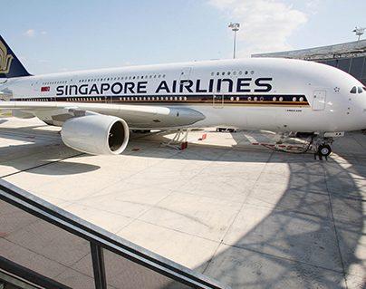 Direct Flight Between Vijayawada and Singapore