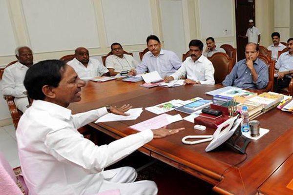 Gap Widens between TRS MLAs and Collectors