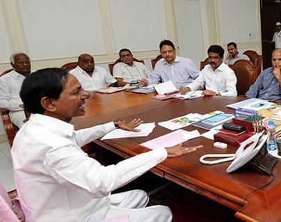 Gap Widens between TRS MLAs and Collectors