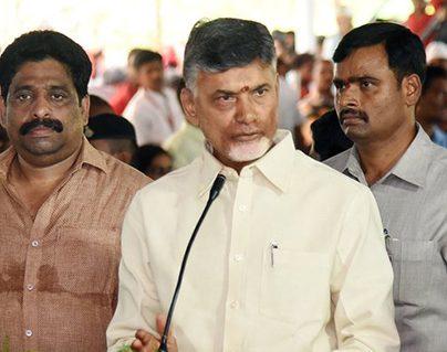 Chandrababu Naidu Fires on YSRCP MPs