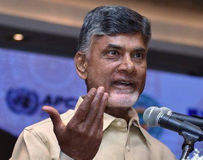 Chandrababu Naidu welfare schemes