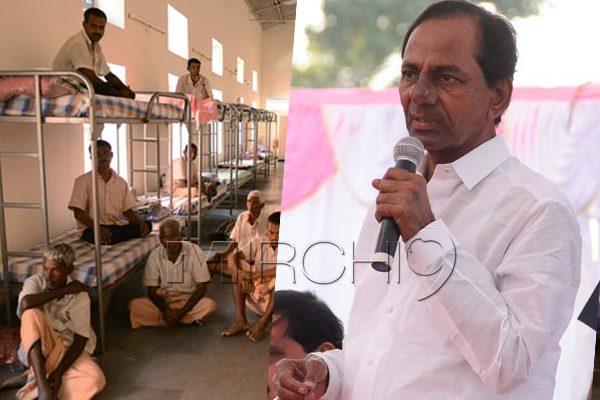 KCR's Cover-Up Hogs International Headlines