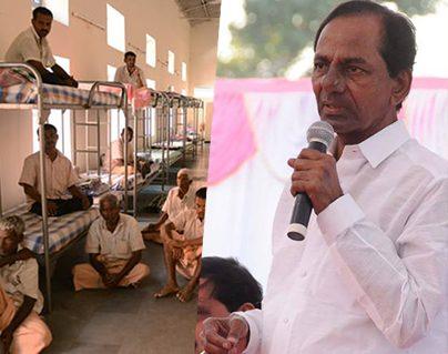 KCR's Cover-Up Hogs International Headlines