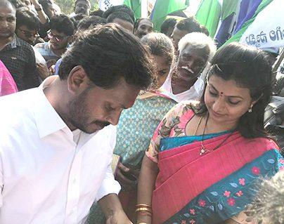 MLA - Roja