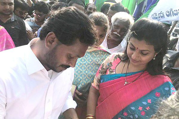 MLA - Roja