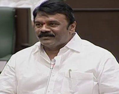 Talasani Srinivas Yadav Vs Shabbir Ali in Telangana Assembly