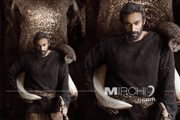 Bollywood Trainer Reveals Rana Daggubati Big Heart